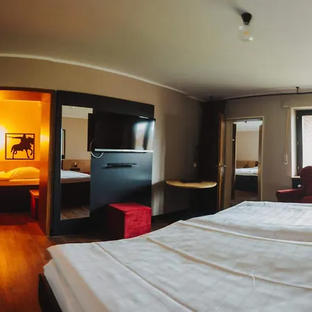 Burghotel Pass Отель Sudlohn